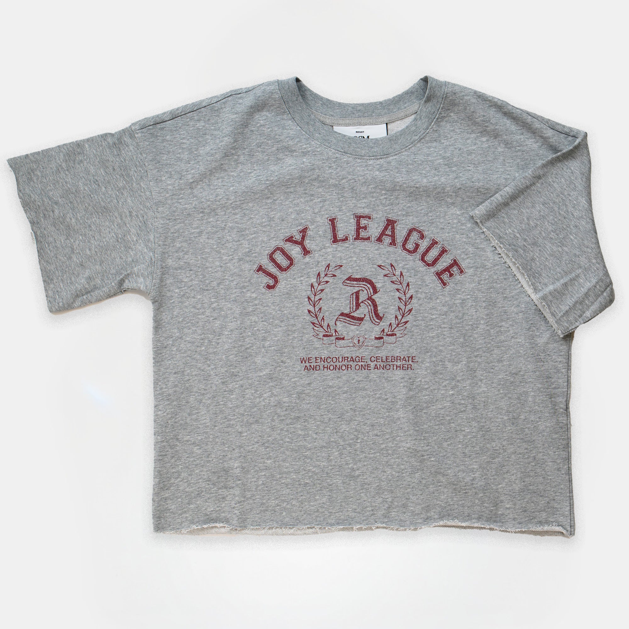 LYFT CUT-OFF VINTAGE BIG T-SHIRT グレー Joy League Cutoff T-Shirt – Elevation Church Resources