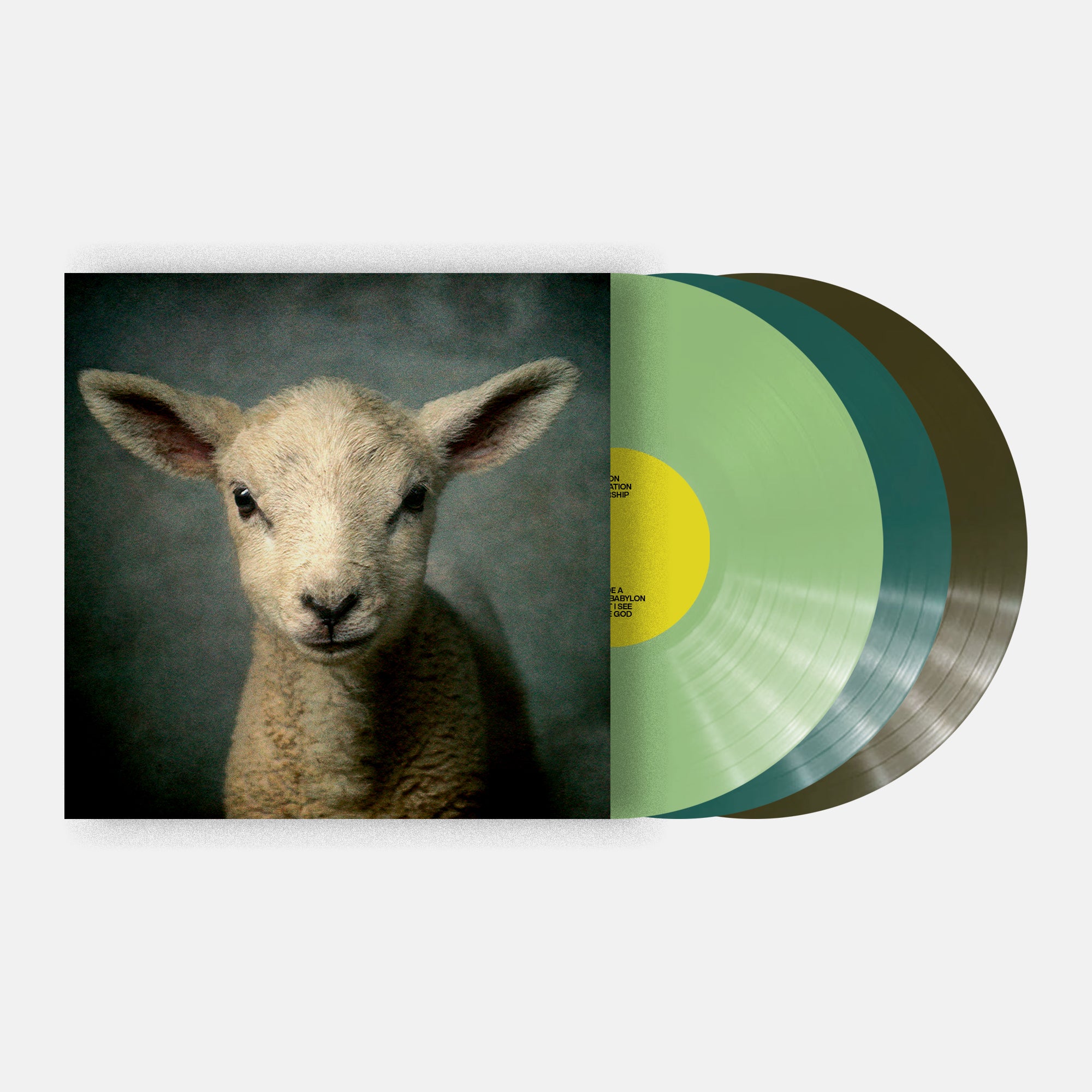 Lion - Vinyl