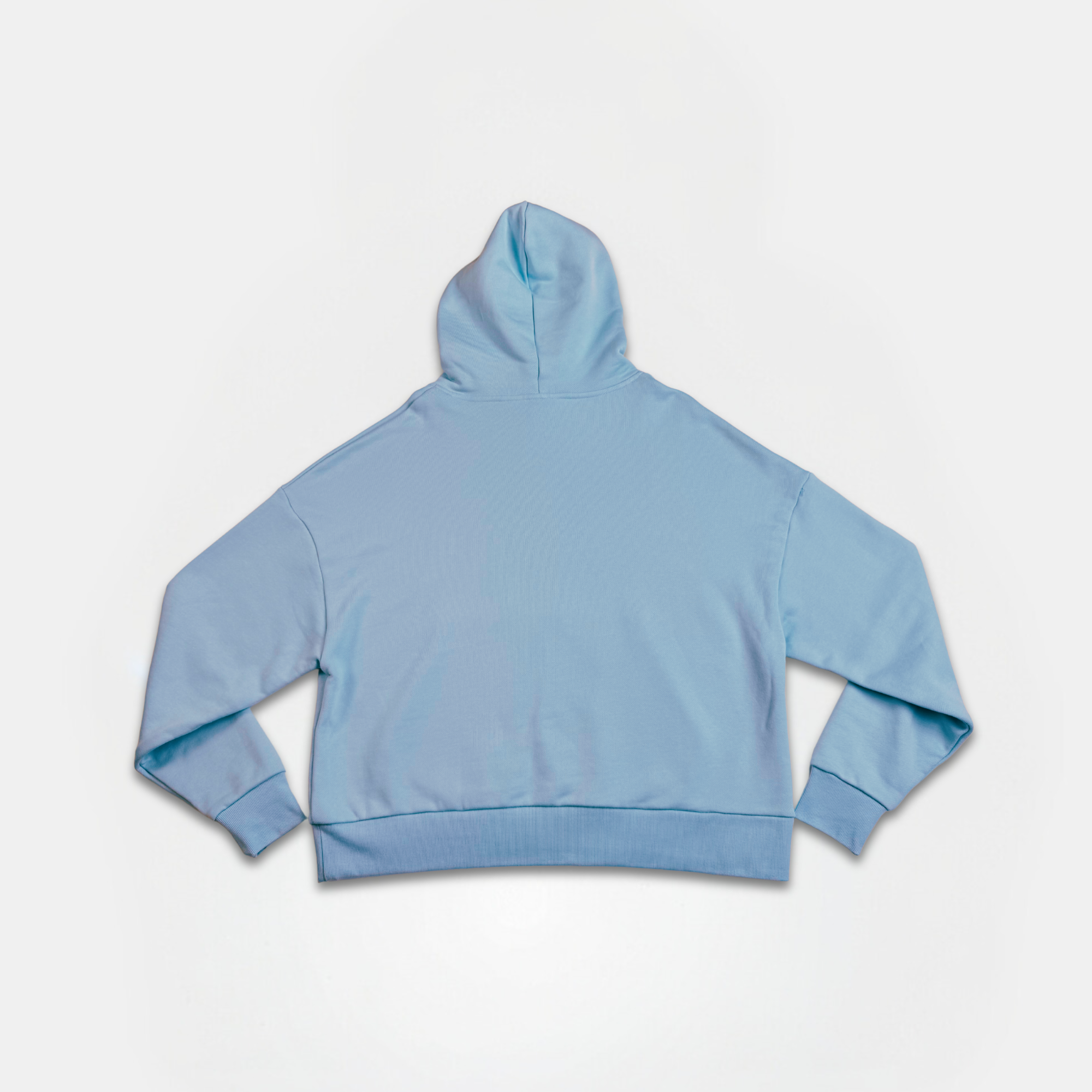 Darling Reflect Blue Hoodie