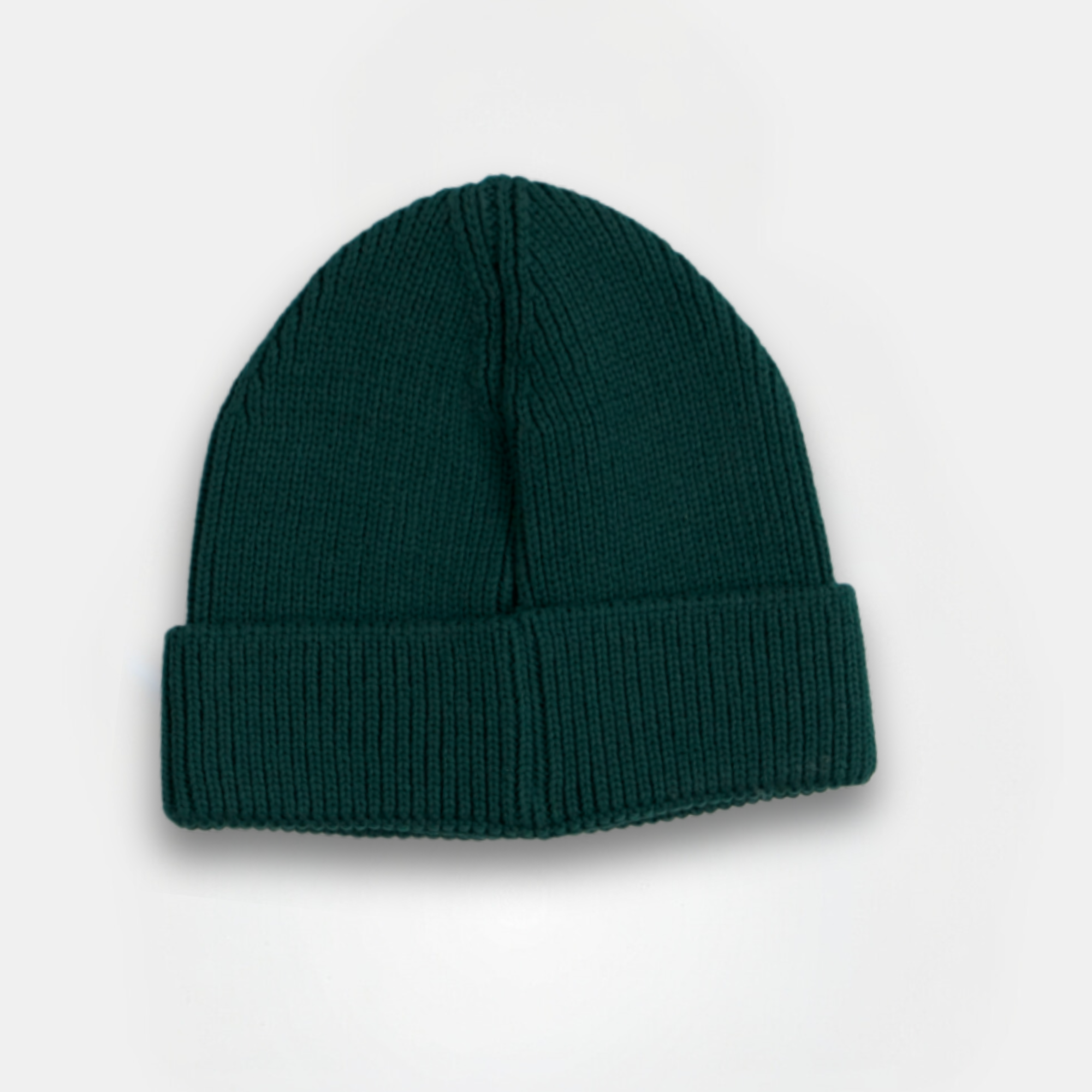 Evergreen Elevation Beanie