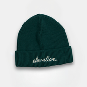 Evergreen Elevation Beanie