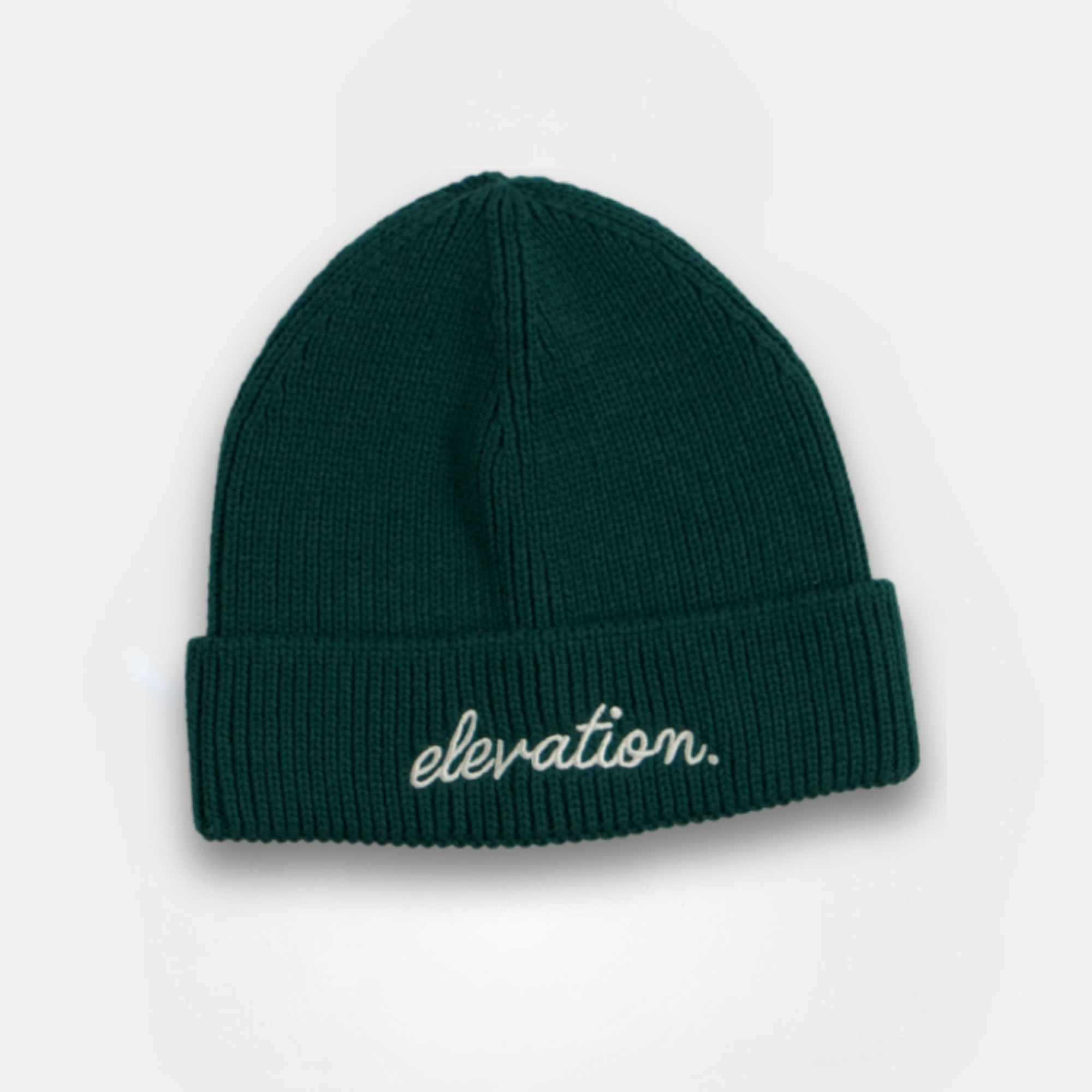Evergreen Elevation Beanie