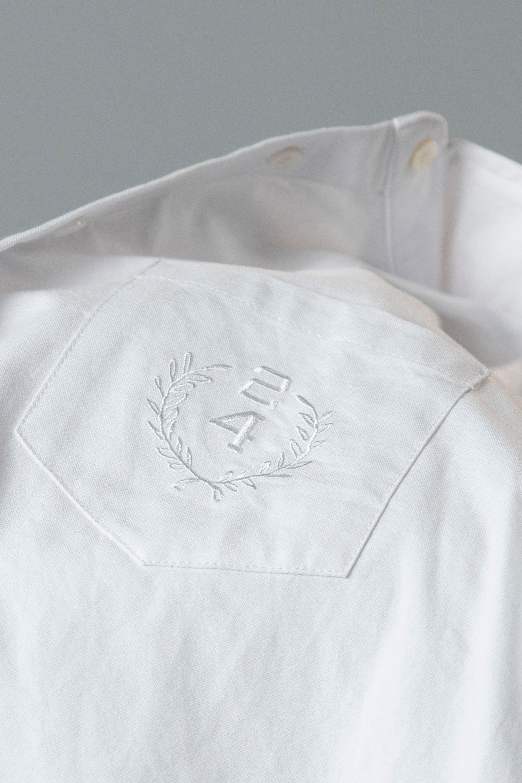 Oversized Embroidered Oxford